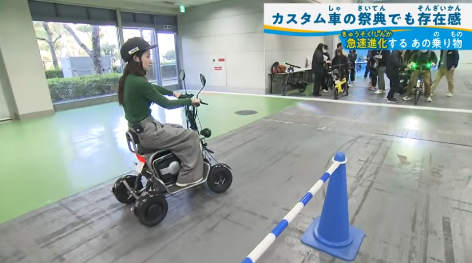 2026-02-21_121958 | ELEMOs