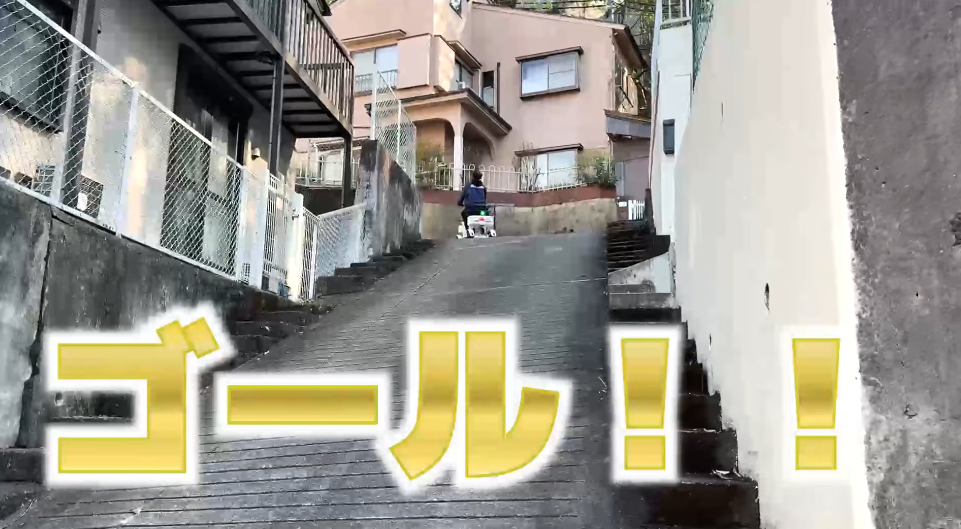 2026-03-06_220520 | ELEMOs